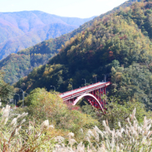 奥秩父紅葉 滝川渓谷の画像