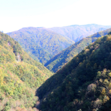 奥秩父紅葉 滝川渓谷の画像