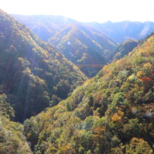 奥秩父紅葉 滝川渓谷の画像