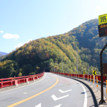 奥秩父紅葉 滝川渓谷の画像