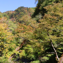 奥秩父紅葉 中津峡の画像