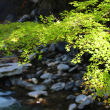 奥秩父紅葉 中津峡の画像