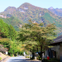 奥秩父紅葉 中津峡の画像