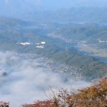 美の山雲海の画像