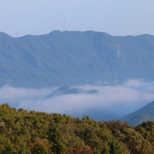 美の山雲海の画像