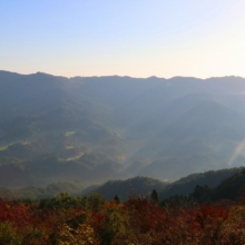 美の山雲海の画像