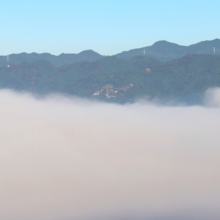 美の山雲海の画像