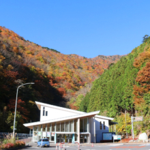 奥秩父紅葉 滝川渓谷の画像