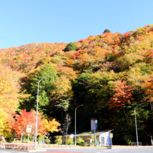 奥秩父紅葉 滝川渓谷の画像