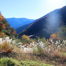 奥秩父紅葉 滝川渓谷の画像