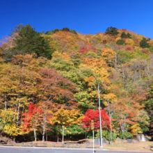 奥秩父紅葉 滝川渓谷の画像