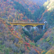 奥秩父紅葉 滝川渓谷の画像