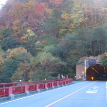 奥秩父紅葉 滝川渓谷の画像