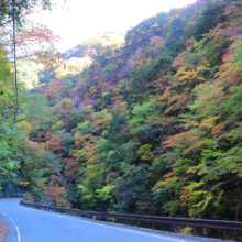 奥秩父紅葉 中津峡の画像