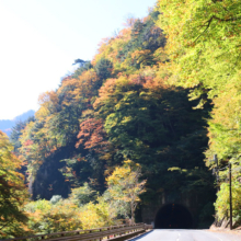 奥秩父紅葉 中津峡の画像