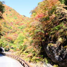 奥秩父紅葉 中津峡の画像