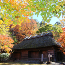 奥秩父紅葉 三峯神社の画像