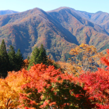 奥秩父紅葉 三峯神社の画像