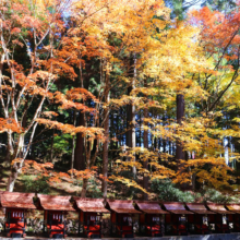 奥秩父紅葉 三峯神社の画像