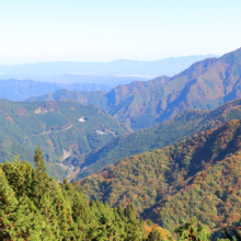 奥秩父紅葉 三峯神社の画像