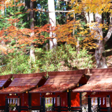 奥秩父紅葉 三峯神社の画像
