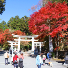 奥秩父紅葉 三峯神社の画像