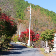 大血川渓谷の画像