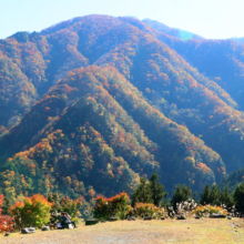 大血川渓谷の画像