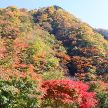 大血川渓谷の画像