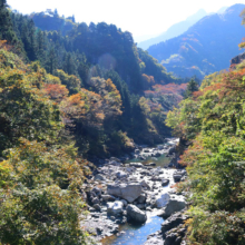 大血川渓谷の画像