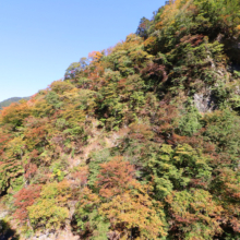 大血川渓谷の画像