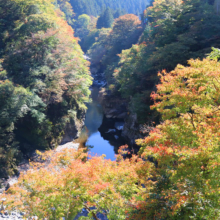 金蔵落しの渓流の画像