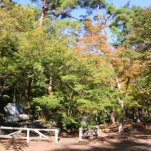 長瀞紅葉 月の石もみじ公園の画像