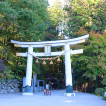 長瀞紅葉 寶登山神社の画像