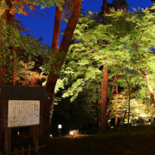 月の石もみじ公園紅葉ライトアップ