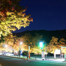 月の石もみじ公園紅葉ライトアップ