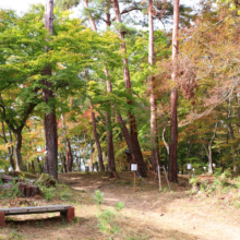 長瀞紅葉 月の石もみじ公園の画像