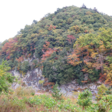 長瀞紅葉 岩畳周辺の画像