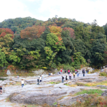 長瀞紅葉 岩畳周辺の画像