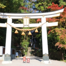 長瀞紅葉 寶登山神社の画像