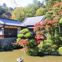 長瀞紅葉 寶登山神社の画像