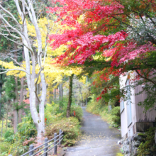 秩父華厳の滝紅葉の画像