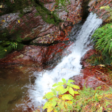 秩父華厳の滝紅葉の画像