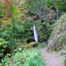 秩父華厳の滝紅葉の画像