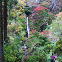 秩父華厳の滝紅葉の画像