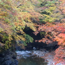 奥秩父紅葉 中津峡の画像