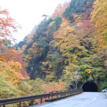 奥秩父紅葉 中津峡の画像