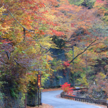 奥秩父紅葉 中津峡の画像