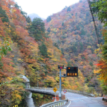 奥秩父紅葉 中津峡の画像