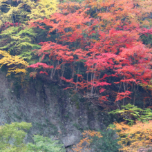 金蔵落しの渓流の画像